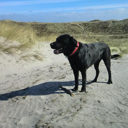 Sta200 Dünengras * Timmendorfer Strand